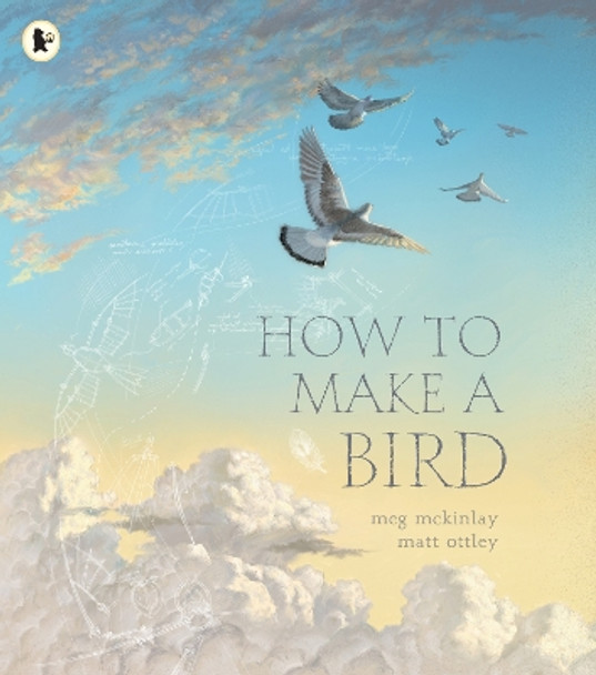 How to Make a Bird by Meg McKinlay 9781529513219