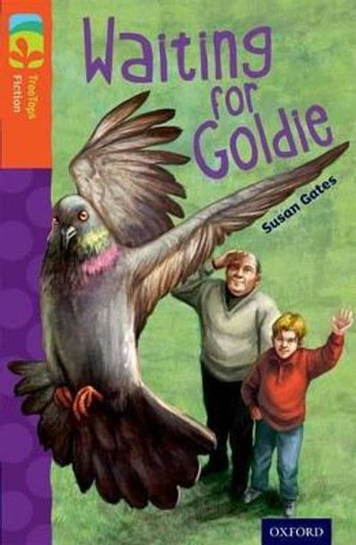 Oxford Reading Tree TreeTops Fiction: Level 13: Waiting for Goldie by Susan Gates