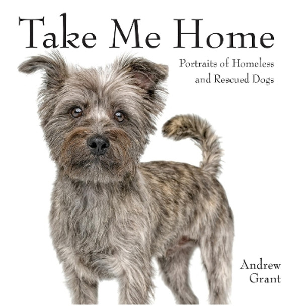 Take Me Home!: Rescue Dogs by Andrew Grant 9780228103042