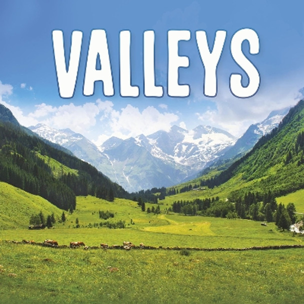 Valleys by Lisa J. Amstutz 9781398202825