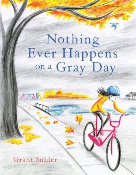 Nothing Ever Happens on a Gray Day by Grant Snider 9781797210896