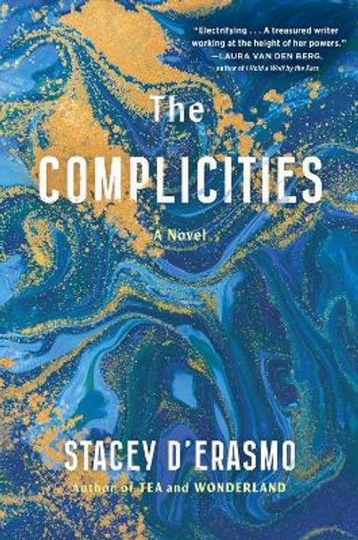 The Complicities by Stacey D'Erasmo 9781643753942