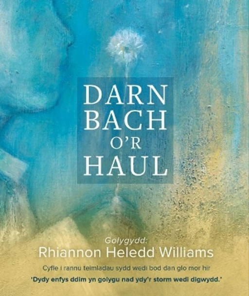 Darn Bach o'r Haul by Rhiannon Williams 9781913996741