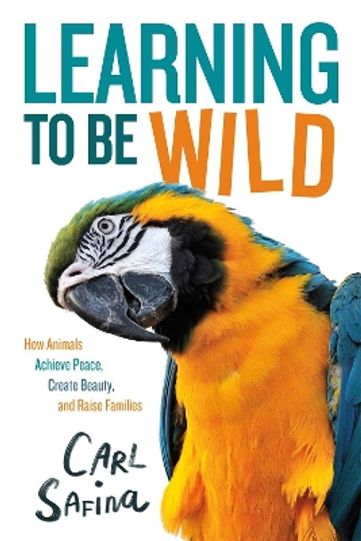Learning to Be Wild (a Young Reader's Adaptation): How Animals Achieve Peace, Create Beauty, and Raise Families by Carl Safina 9781250838254
