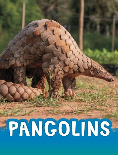 Pangolins by Jaclyn Jaycox 9781398238831