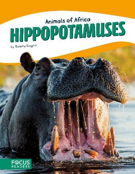 Animals of Africa: Hippopotamuses by Tammy Gagne 9781635172652