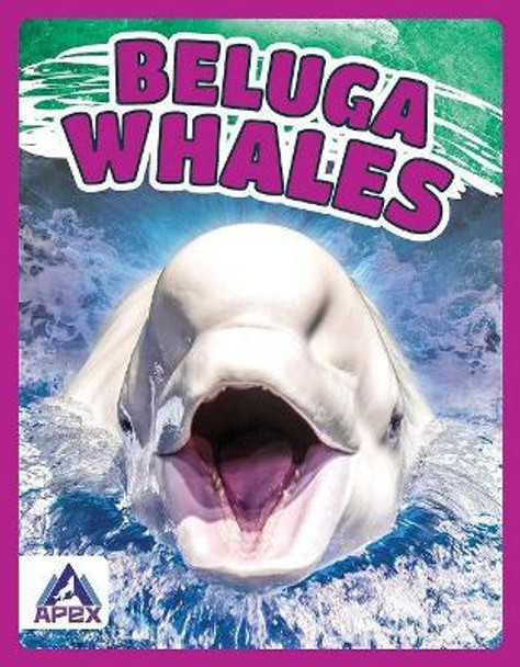 Beluga Whales by Angela Lim 9781637380017