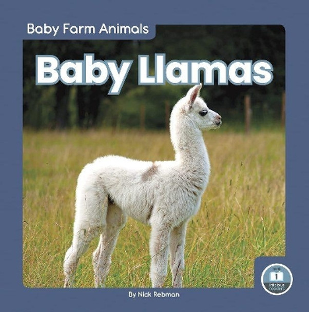 Baby Llamas by Nick Rebman 9781646195046