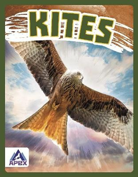 Kites by Connor Stratton 9781637381816