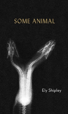 Some Animal by Ely Shipley 9781937658793