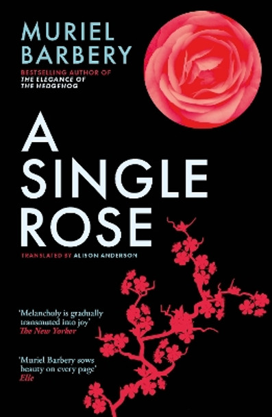 A Single Rose by Muriel Barbery 9781913547417