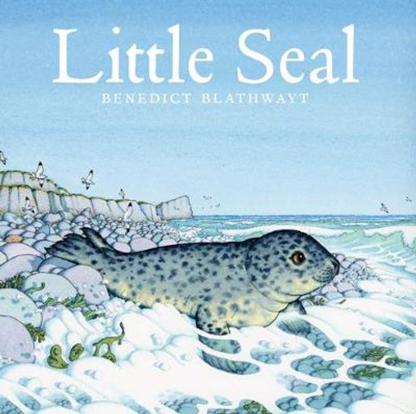 Little Seal by Benedict Blathwayt