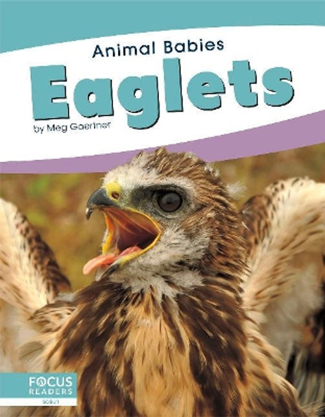 Animal Babies: Eaglets by Meg Gaertner 9781641857468