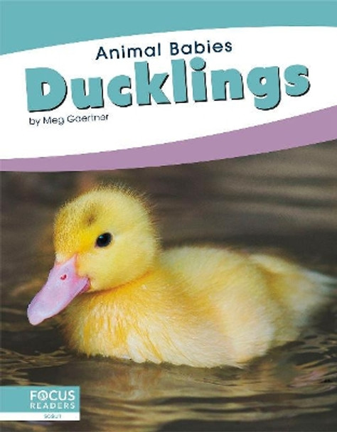 Animal Babies: Ducklings by Meg Gaertner 9781641858144