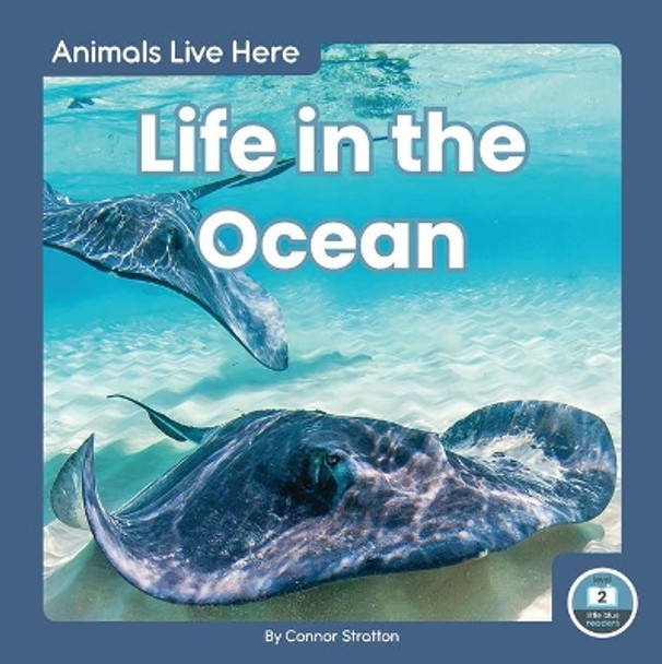 Animals Live Here: Life in the Ocean by ,Connor Stratton 9781646190232