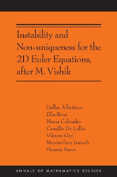 Instability and Non-uniqueness for the 2D Euler Equations, after M. Vishik: (AMS-219) by Camillo De Lellis 9780691257532