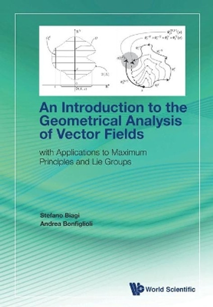 Introduction To The Geometrical Analysis Of Vector Fields, An: With Applications To Maximum Principles And Lie Groups by Stefano Biagi 9789811221248