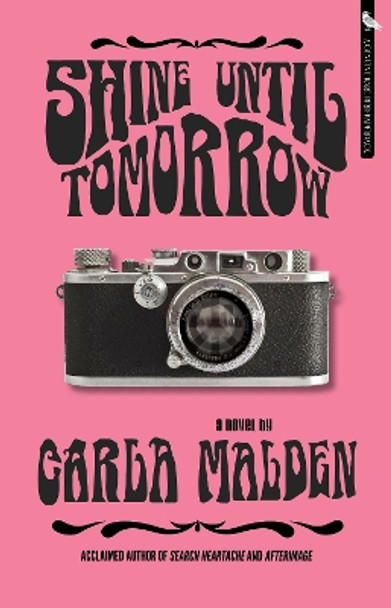 Shine Until Tomorrow by Carla Malden 9781644283615