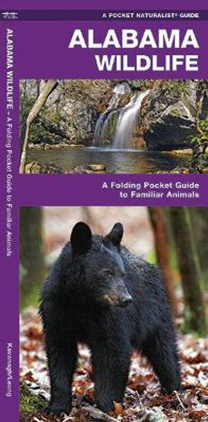 Alabama Wildlife: A Folding Pocket Guide to Familiar Animals by James Kavanagh 9781583556719
