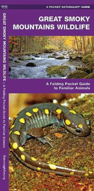 Great Smoky Mountains Wildlife: A Folding Pocket Guide to Familiar Species by James Kavanagh 9781583556726
