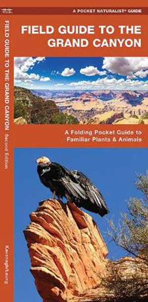 Field Guide to the Grand Canyon: A Folding Pocket Guide to Familiar Plants and Animals by James Kavanagh 9781620052815