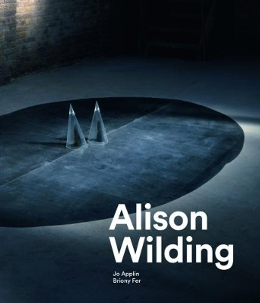 Alison Wilding by Jo Applin 9781848222656