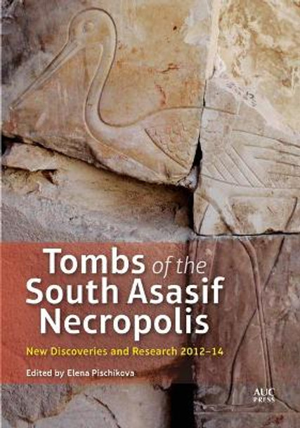 Tombs of the South Asasif Necropolis: New Discoveries and Research 2012-2014 by Elena Pischikova 9789774167249