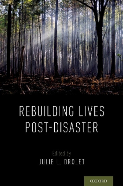 Rebuilding Lives Post-Disaster by Julie L. Drolet 9780190942199