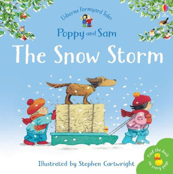 The Snow Storm by Heather Amery