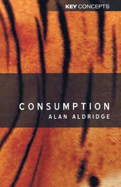 Consumption by Alan Aldridge 9780745625300