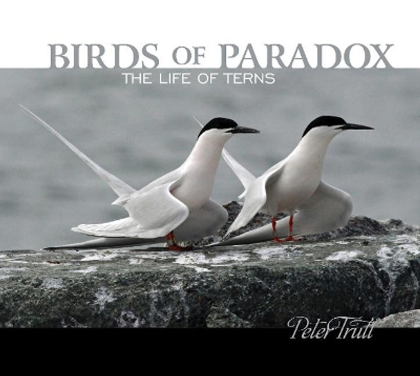 Birds of Paradox: The Life of Terns by Peter Trull 9780764357640