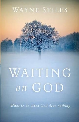 Waiting on God: What to Do When God Does Nothing by Wayne Stiles 9780801018459