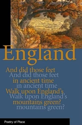 England A. N. Wilson 9781906011215