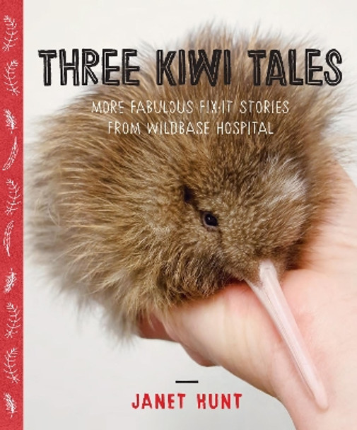 Three Kiwi Tales by Janet Hunt 9780995100145