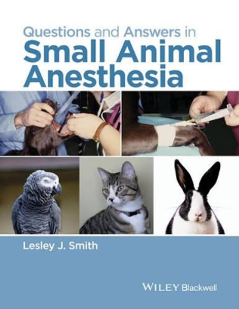 Questions and Answers in Small Animal Anesthesia by Lesley J. Smith 9781118912836