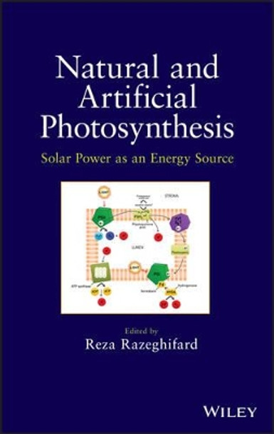 Natural and Artificial Photosynthesis: Solar Power as an Energy Source by Reza Razeghifard 9781118160060