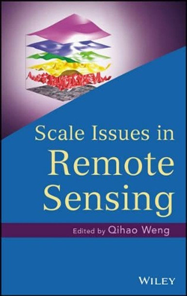 Scale Issues in Remote Sensing by Qihao Weng 9781118305041