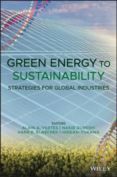 Green Energy to Sustainability: Strategies for Global Industries by Alain A. Vertes 9781119152026