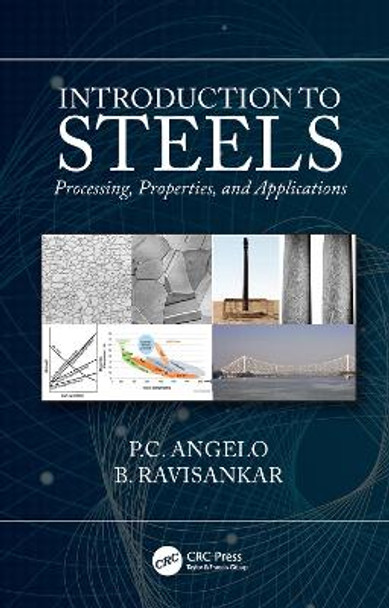 Introduction to Steels: Processing, Properties, and Applications by P.C. Angelo 9781138389991