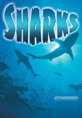 Sharks by John Townsend 9781781475393