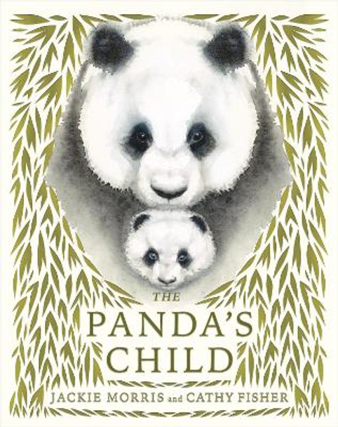 The Panda's Child by Jackie Morris 9781915659057