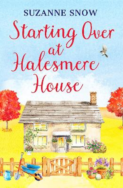 Starting Over at Halesmere House by Suzanne Snow 9781800328785