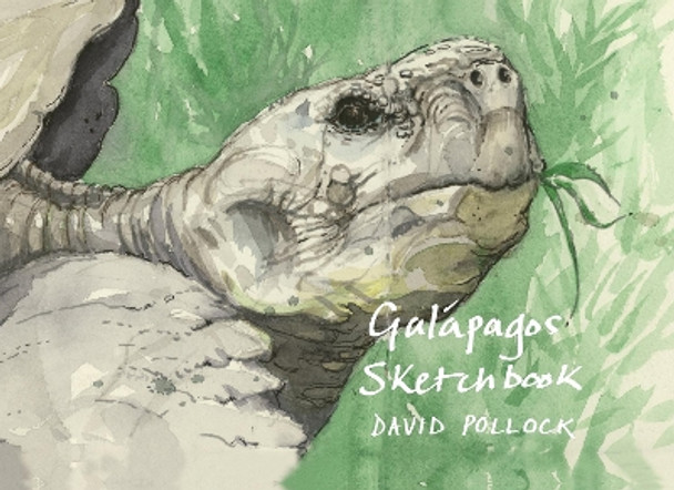 A Galápagos Sketchbook by David Pollock 9781843682141