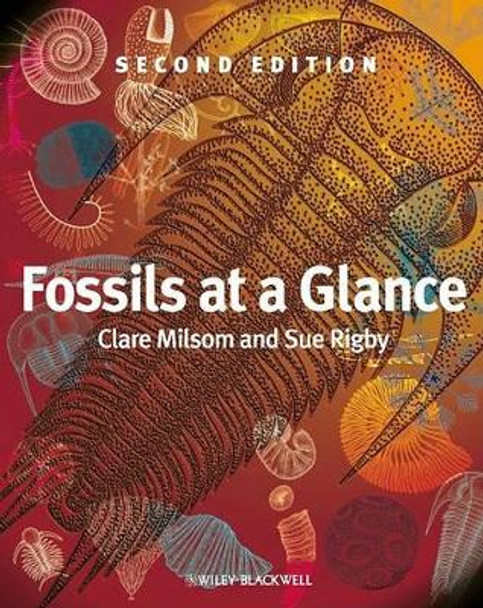 Fossils at a Glance by Clare Milsom 9781405193368