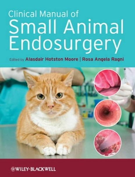 Clinical Manual of Small Animal Endosurgery by Alasdair Hotston Moore 9781405190015