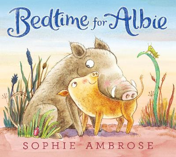 Bedtime for Albie by Sophie Ambrose 9781406386226