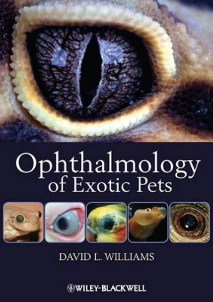 Ophthalmology of Exotic Pets by David L. Williams 9781444330410