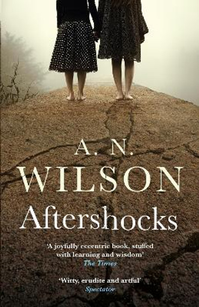 Aftershocks by A. N. Wilson 9781786496058