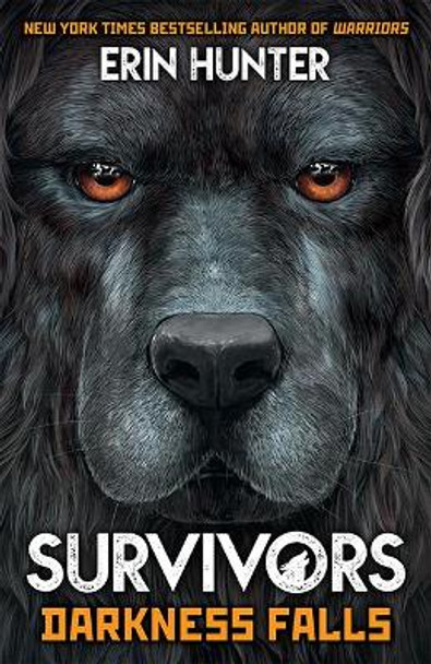 Survivors Book 3: Darkness Falls by Erin Hunter 9781787006669