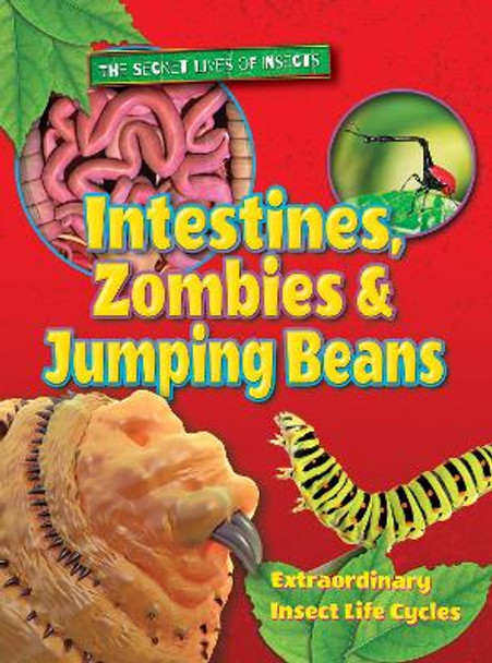 Intestines, Zombies and Jumping Beans: 2018 by Ruth Owen 9781788560023